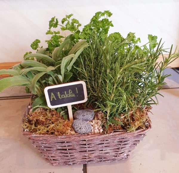 Terrine de plantes aromatiques